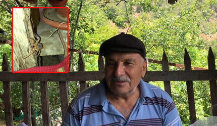 Akrepleri, yılanları evcilleştirdi, örümcekle yaptığına kimse inanamadı - gundem