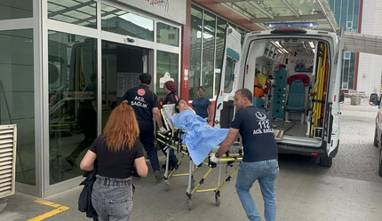 Gürcistan'a giden folklor kafilesi yemekten zehirlendi: 46 kişi hastanelik oldu - gundem