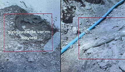 Engerek yılanlarını yakalayıp videosunu paylaşan çoban cezasız kalmadı - hayatin-icinden