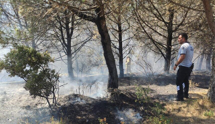 Sultangazi Kent Ormanı'nda yangın! Havadan ve karadan müdahale ile söndürüldü - gundem