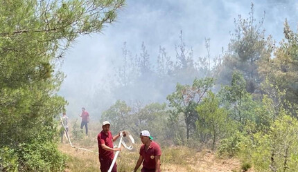 Eskişehir’de ağaçlandırma sahasında orman yangını çıktı! Müdahale sürüyor - gundem