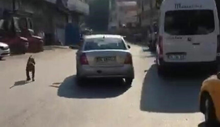 Böyle vahşet görülmedi! Vicdansız adam köpeği otomobiliyle sürükledi - gundem
