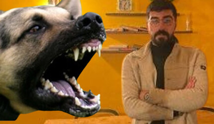 Genç mimar kuduz köpeğin saldırısıyla hayatını kaybetti! Arkadaşları acı detayı açıkladı - gundem