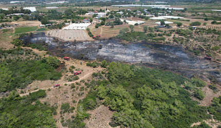 Manavgat'ta çıkan orman yangınının sebebi ihmal olabilir! - gundem