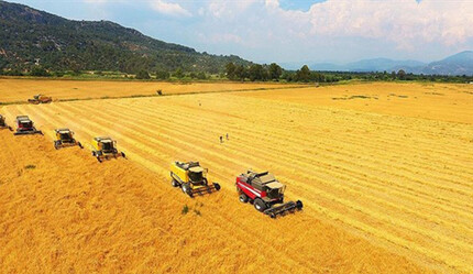 TMO hububatta arz edilen tüm ürünü alacak - ekonomi