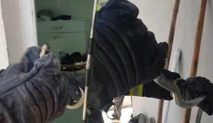 Eve giren yılan ekipleri alarma geçirdi - gundem