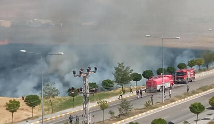 Van'da yangın! Buğday tarlası alev alev yandı - gundem
