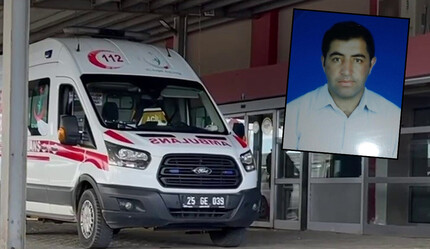 Tarlada yılan dehşeti! Fark etmeyip üzerine bastı, hastanelik oldu - ekonomi