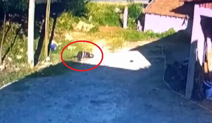 Ölümlü trafik kazası güvenlik kamerasında - gundem