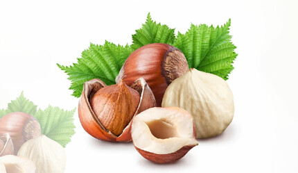 Fındık fiyatları için bir zam teklifi daha: