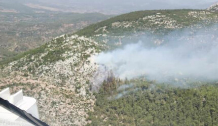 Muğla Milas'ta korkutan orman yangını! - gundem