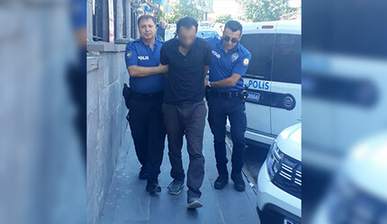 Kedi katili cani yakalandı: İşlediği ilk suç değil! - gundem