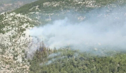 Milas'ta korkutan orman yangını! - gundem
