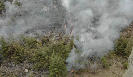 Bilecik'te ormanlık alanda çıkan yangın kontrol altında - gundem