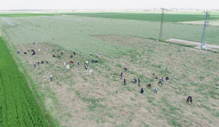 Rusya ve Almanya’dan 200 ton talep var! Aksaray’dan Avrupa'ya giden organik antibiyotik, ilaç fabrikalarında kullanılıyor - ekonomi