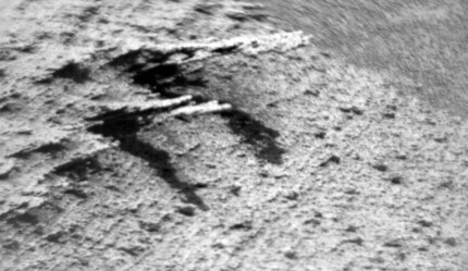 Mars'ta keşfedilen en tuhaf cisim! Ejderha benzeri kemik bilim insanlarını şaşkınlığa uğrattı - teknoloji