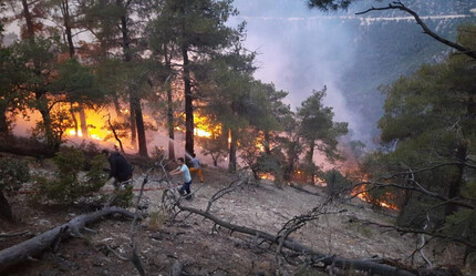 Bolu'da ormana düşen yıldırım yangın çıkardı: Havadan karadan müdahale ediliyor - gundem