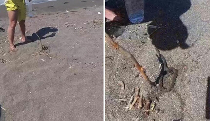 Gözlerine inanamadı! Bacağına bir şey dolandığını fark edip kendini karaya attı - dunya