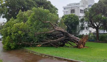 Japonya’yı Khanun Tayfunu vurdu, 212 bin 530 ev elektriksiz kaldı: Ölü ve yaralılar var - dunya