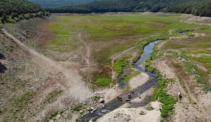 İstanbul’un su ihtiyacını karşılayan barajlardan eser yok: Artık hayvanlar otluyor - gundem