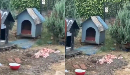 Farelerden isyan eden vatandaşlara belediyenin verdiği cevap tepki çekti - gundem