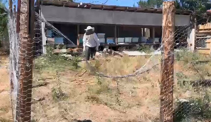 Ayılardan korumak için tel örgülü önlem aldı, yine de başarılı olamadı - gundem