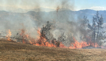 Kahramanmaraş’ta orman yangını: Havadan ve karadan müdahale ediliyor - gundem