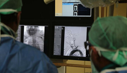 Sıtmanın bulaşmasını engelleyebilecek bakteri bulundu - saglik