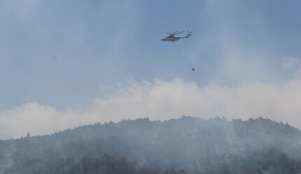 Hatay'da orman yandı, 4 sabotajcı operasyonla yakalandı - gundem