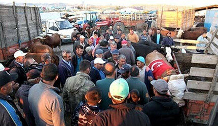 Bir ilde daha şap alarmı verildi! Çok sayıda köy karantinada, yetkililerden ilk açıklama geldi - ekonomi