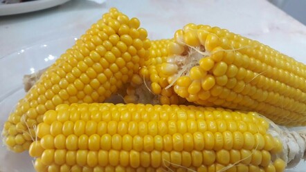 Haşlanmış mısır yaparken tencereye ekleyin! Faydası ve lezzetli katlanacak - saglik