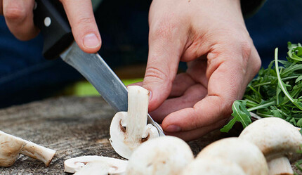 Zehirli yemek daveti: 3 ölü - gundem