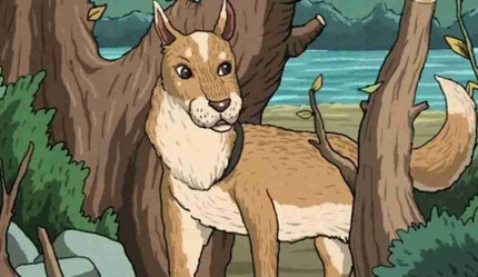 Zekayı ölçen test: Gizli kediyi 13 saniyede bulan ‘dahi’ olarak adlandırılıyor - hayatin-icinden