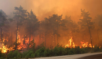 Son dakika haberi! Altı kentte orman yangını: Ekiplerin müdahalesi sürüyor - gundem