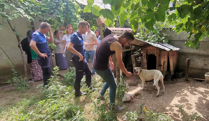 Zabıta ekipleri geçit vermiyor: Bakılması yasak hayvanlara el konuldu - gundem