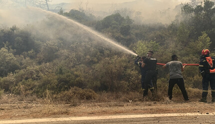 Yunanistan'daki orman yangınından kötü haber geldi: Bir kişi hayatını kaybetti - gundem