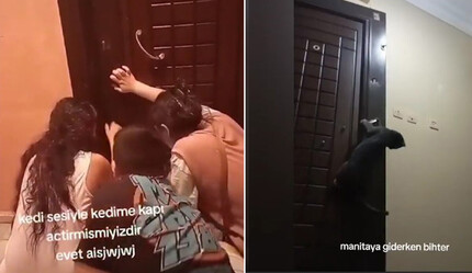 ‘Çilingir’ kedi dışarda kalan sahiplerine kapıyı açtı, izleyenler şaşkına döndü - gundem
