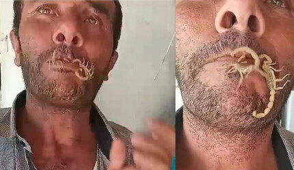 'Hayvanları seviyorum' dedi, akreplere kendini sokturdu! Tedavi sırrını ise sakladı - gundem