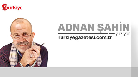 Zeytin ağacının vazgeçtiği yerde Akdeniz biter - gundem