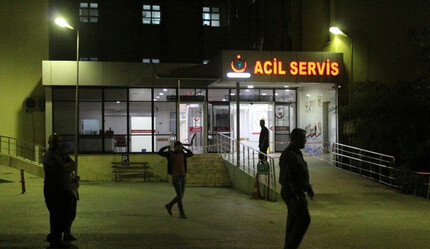 Ev sahibi dehşet saçtı: Kiracılarını yaralayıp, köpeklerini canice öldürdü - ekonomi