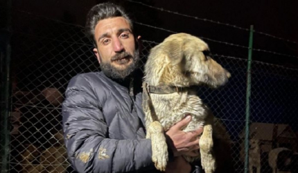 Erkin Erdoğdu kimdir? Paw Guards'ın yöneticisi Erkin Erdoğdu neden tutuklandı? - magazin