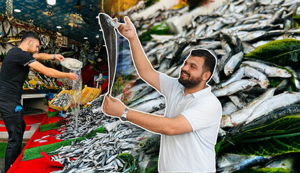 Balık sezonu açıldı, tezgahlar şenlendi: Hamsi, mezgit, palamut ve çupranın fiyatları belli oldu - ekonomi
