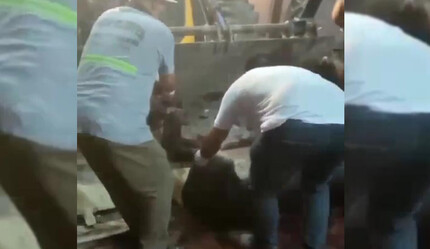 Adana’da mide bulandıran olay! Kesilmiş 12 eşek ele geçirildi, 2 gözaltı var - gundem