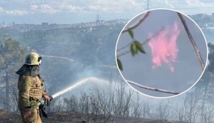 Sultangazi'de ormanlık alanda yangın çıktı! Alevler kontrol altında - gundem