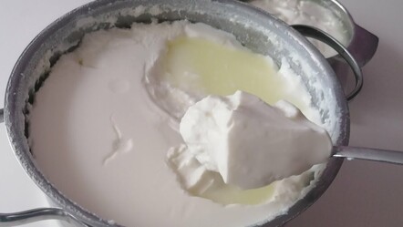 Yoğurt taş gibi oluyor... Mayalarken mutlaka deneyin! Yoğurtçular hiç paylaşmıyordu - yemek