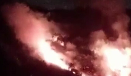 Pendik'te korkutan orman yangını - gundem