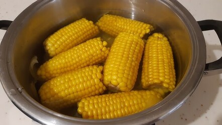 Mısırın lokum gibi olmasını sağlayan haşlama yöntemi! Seyyar satıcılar saklıyordu - yemek