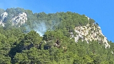 Köyceğiz’de korkutan orman yangını - gundem