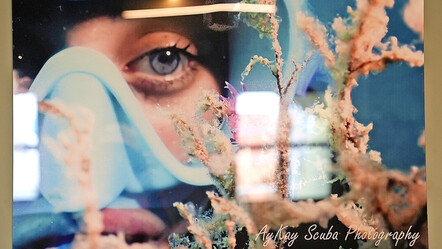 Festivalde yeni rota: Tarihin içinden 'Kültür Yolu' geçiyor - kultur-sanat