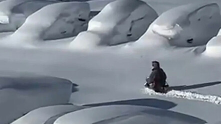 Arjantin'de 28 saat boyunca kar yağdı! Onlarca kişi mahsur kaldı - dunya